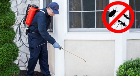 Kırkağaç Böcek ve Haşere İlaçlama böcek ilaçlama ve haşere kontrolü — ilaclama-tr.com
